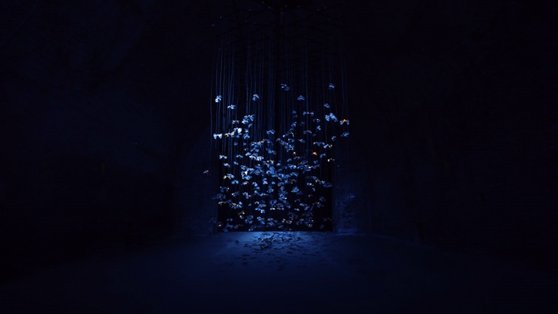 Fireflies