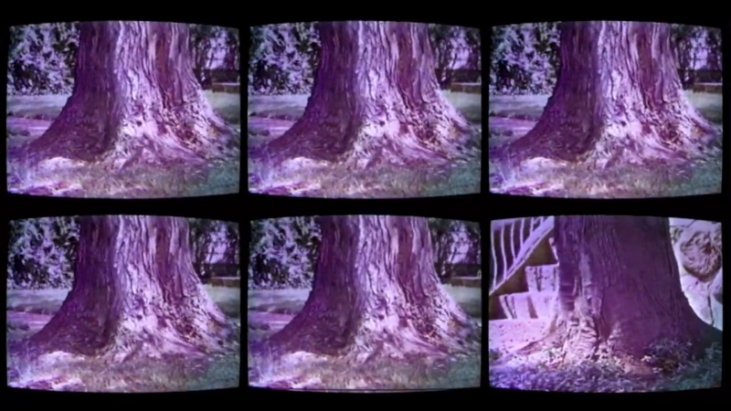 Ritual of the Rhizome