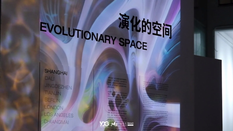 YDG_Evolutionary Space