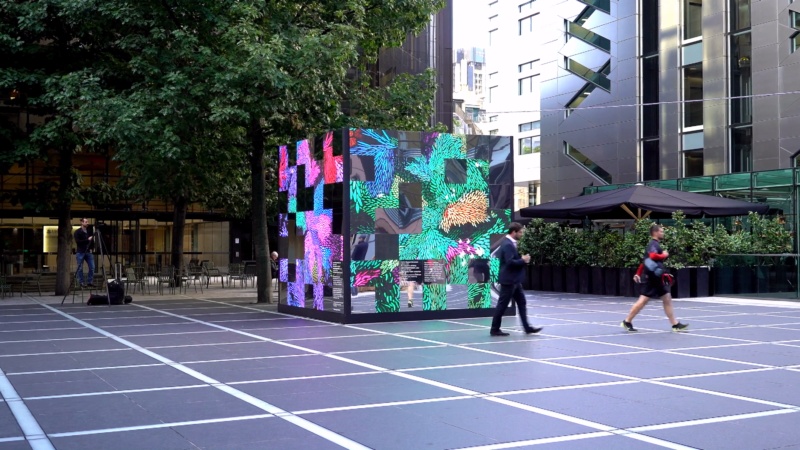The Cube
