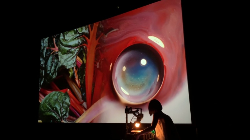 Akiko Nakayama Recent works