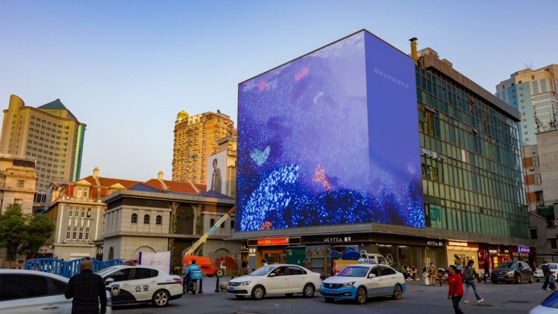 Snow Yunxue Fu's Artist Intro in Chinese of 2 LED Artwork Display by Poly Art