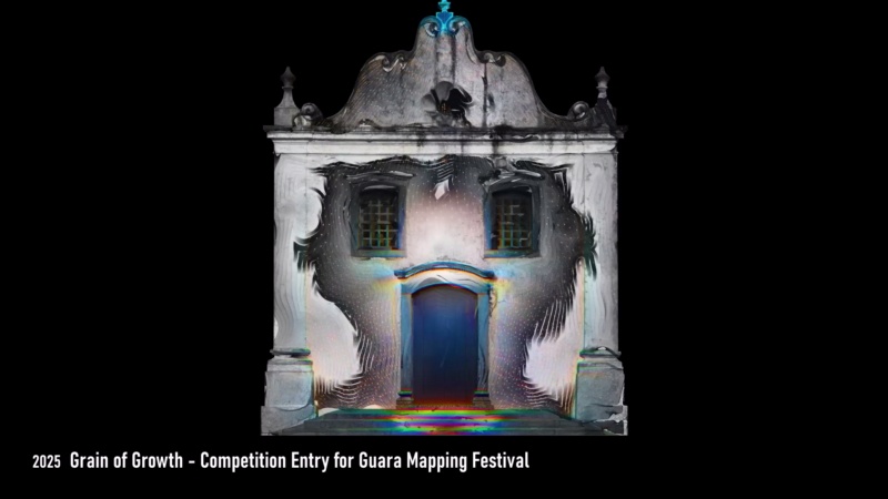 Show Entry Guara Mapping Festival 