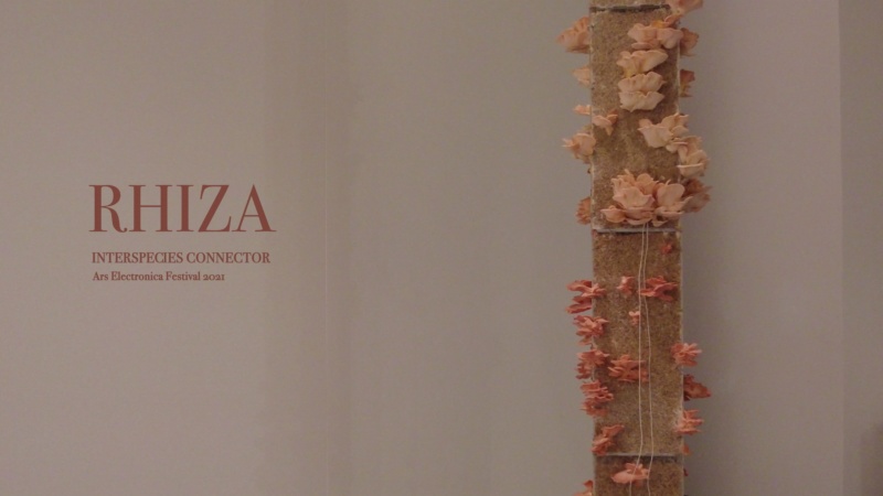 RHIZA BIO ART INSTALLATION